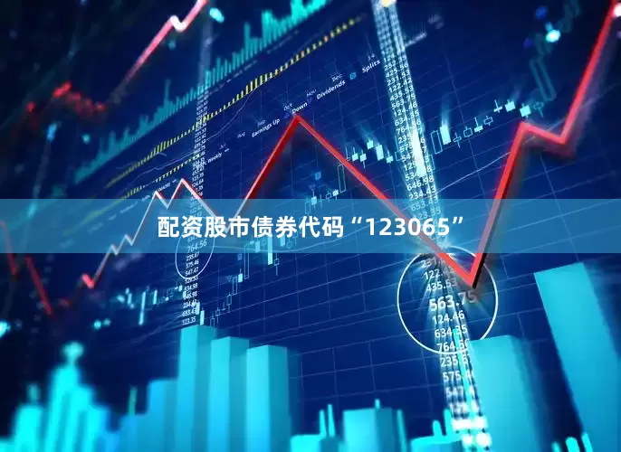 配资股市债券代码“123065”